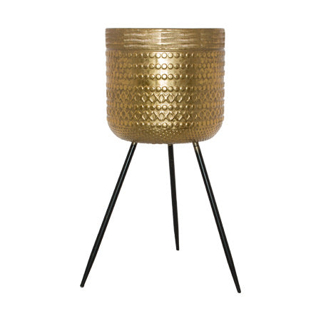 Zander Planter